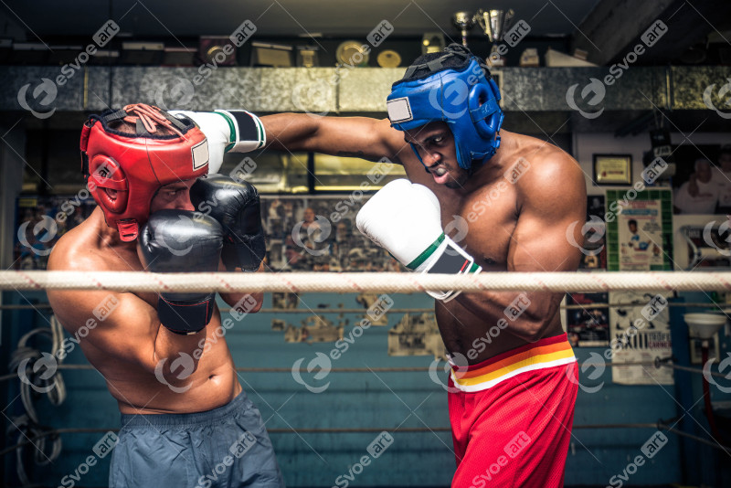 Boxing match