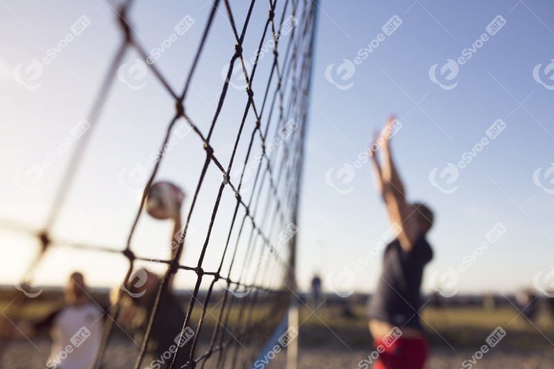 Close up of netting 2024 10 16 08 26 33 utc