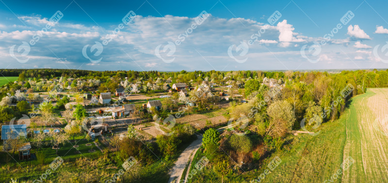 Countryside Rural Landscape With Small Village, Gardens And Green Field In Spring Summer Day. Elevated View. Panorama