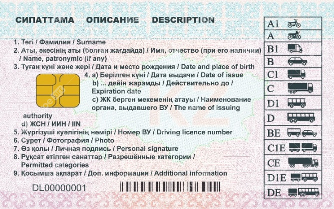 Driving license  1