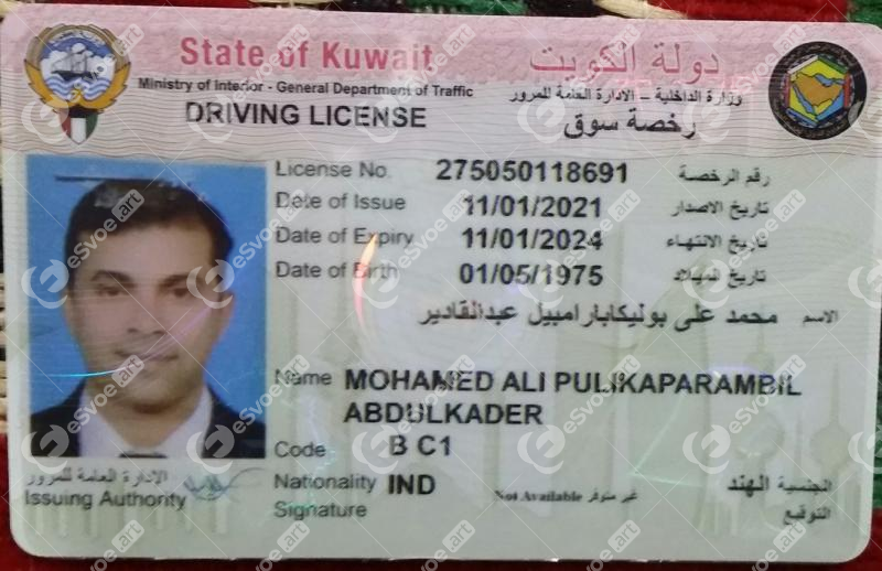 Driving license 1