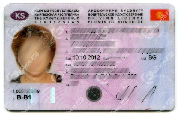 Driving license 1