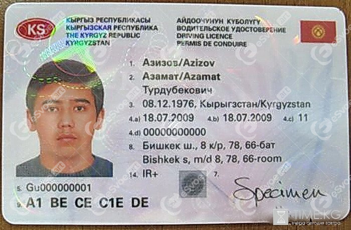 Driving license 1(1)