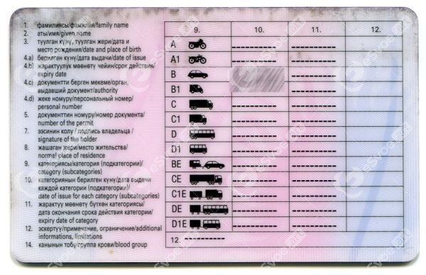 Driving license 2