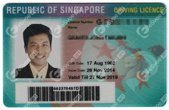 Driving license 2