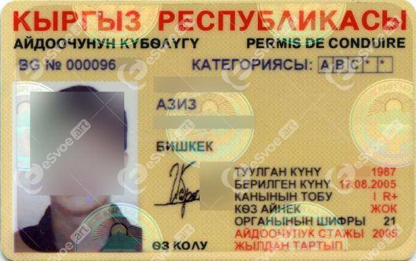 Driving license 3