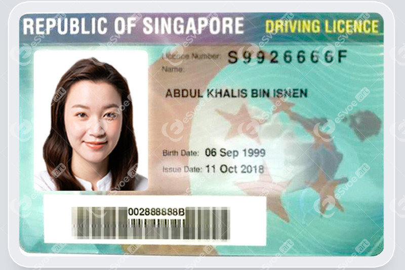 Driving license 3