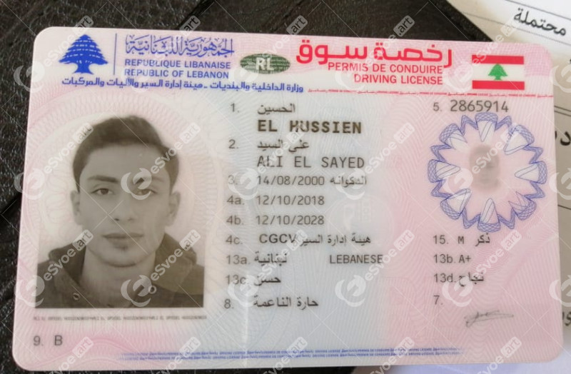 Driving license 5