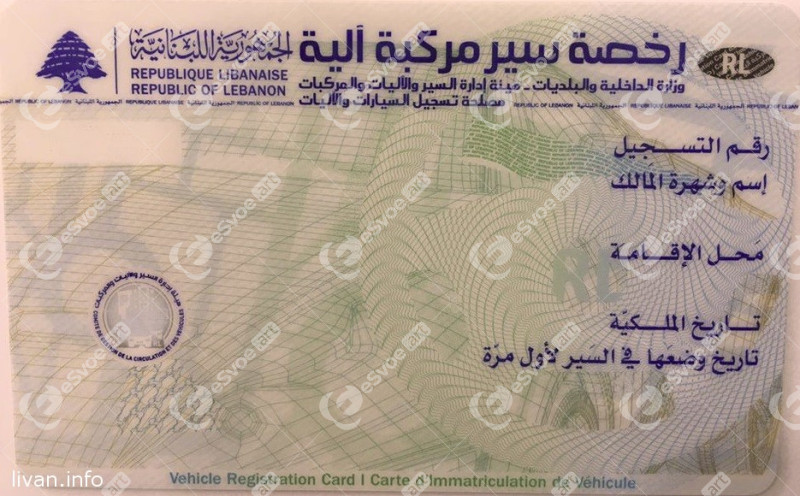 Driving license 8