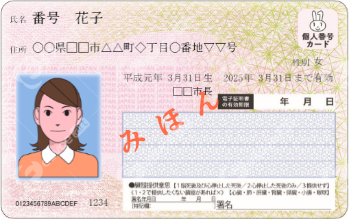 Identity card  4