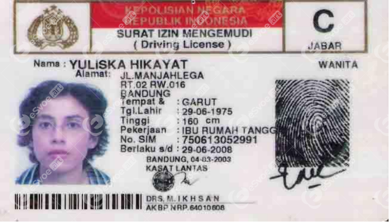 driving license 10