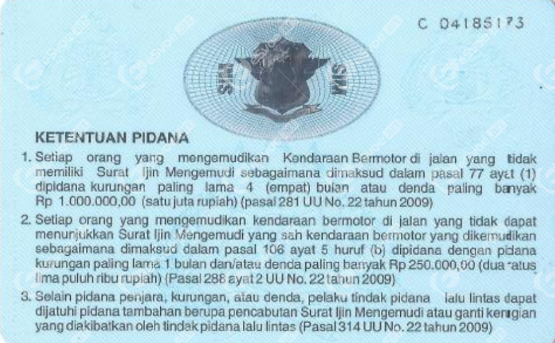 driving license 11