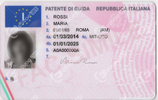 IT licence (front)