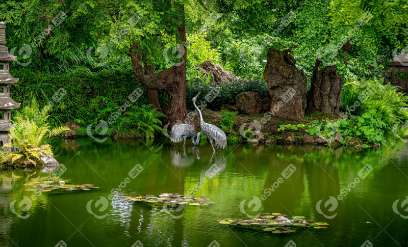 Japanese Garden in San Francisco in summer