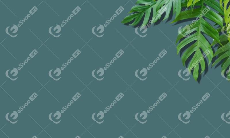 Modern green background with monstera minimalist