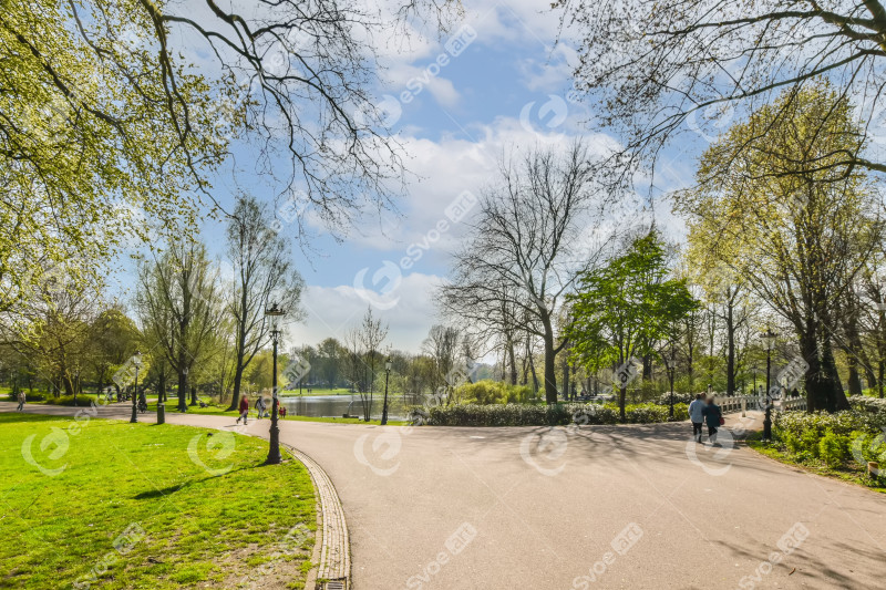 People walking down a path in a park