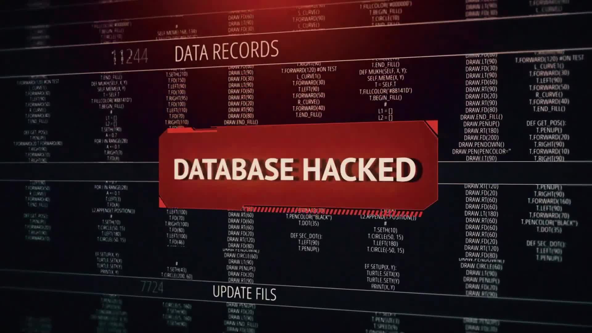 Nemo hack worth $2 4 million