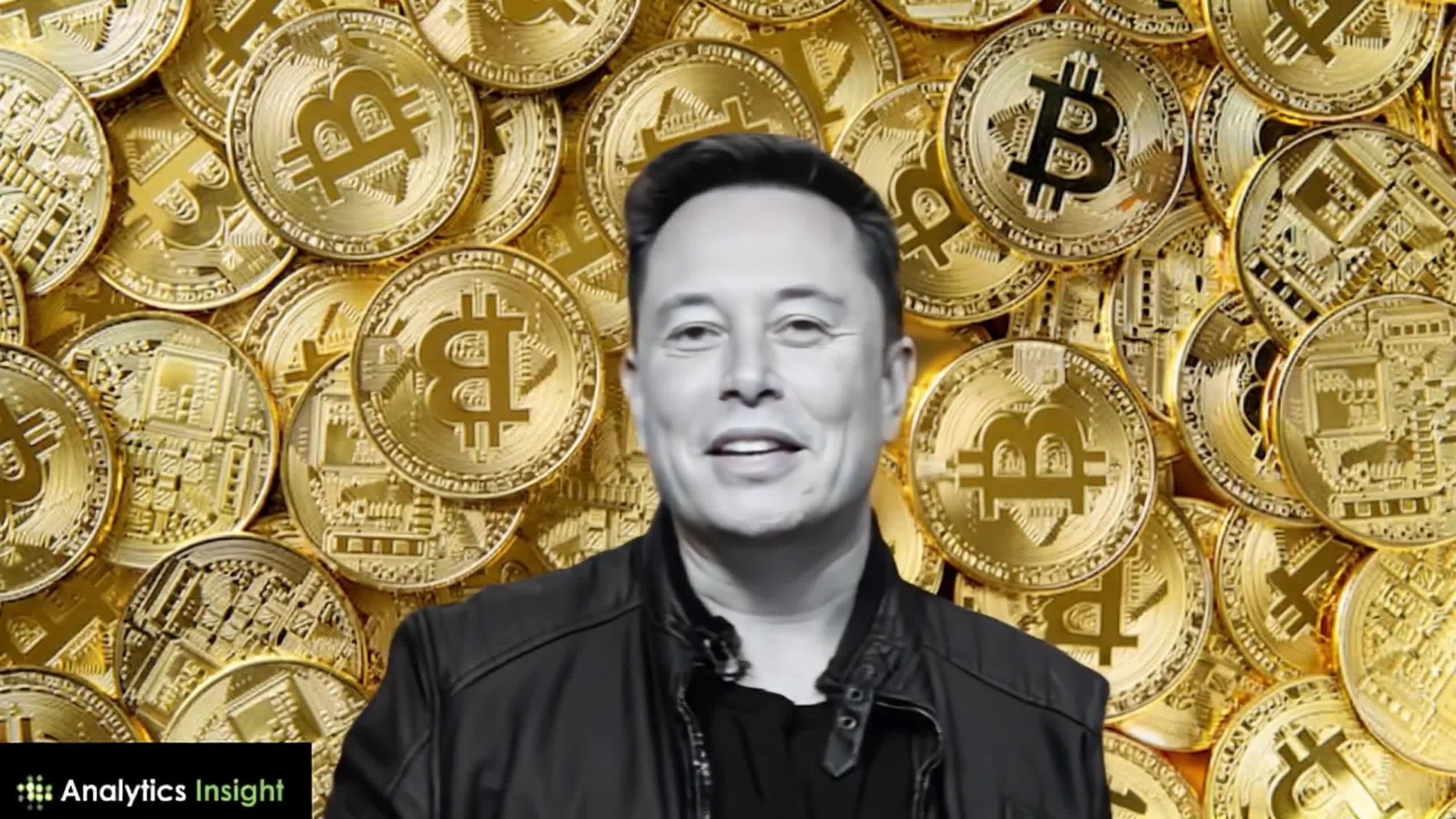 Elon Musk & Bitcoin