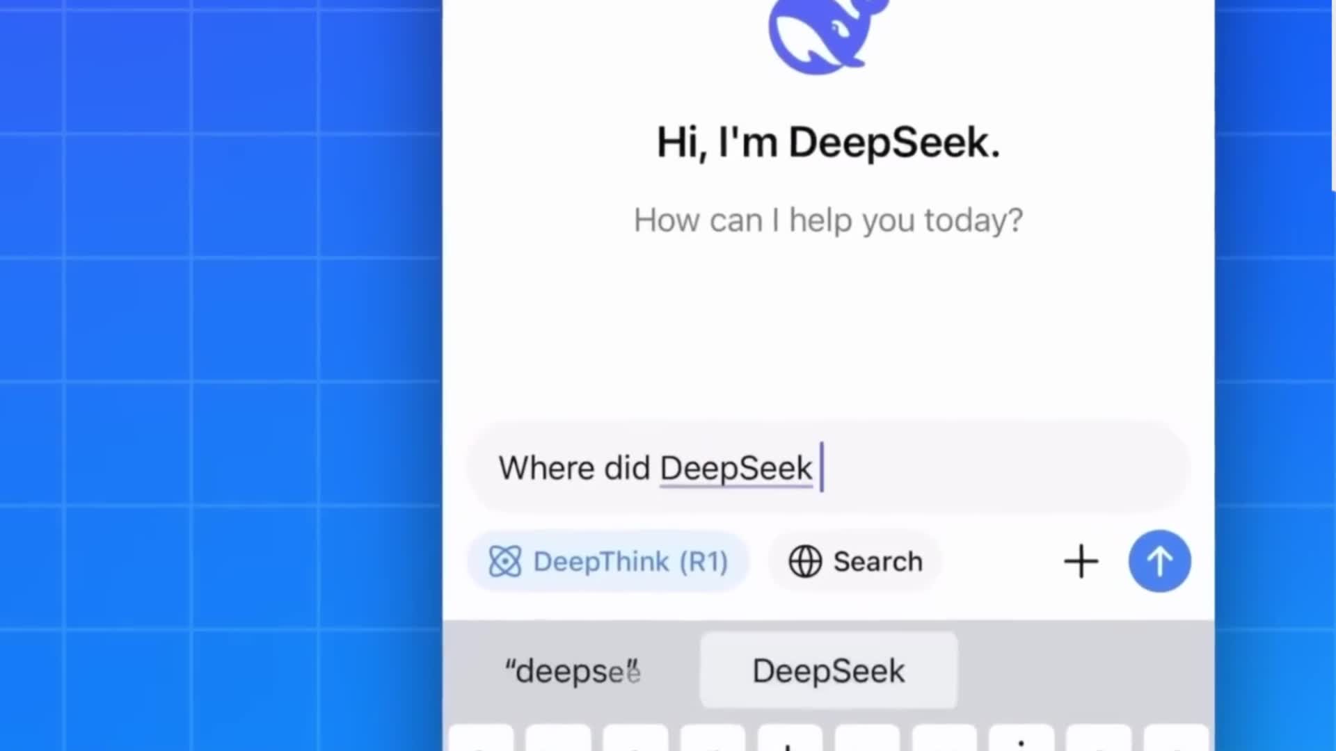 DeepSeek