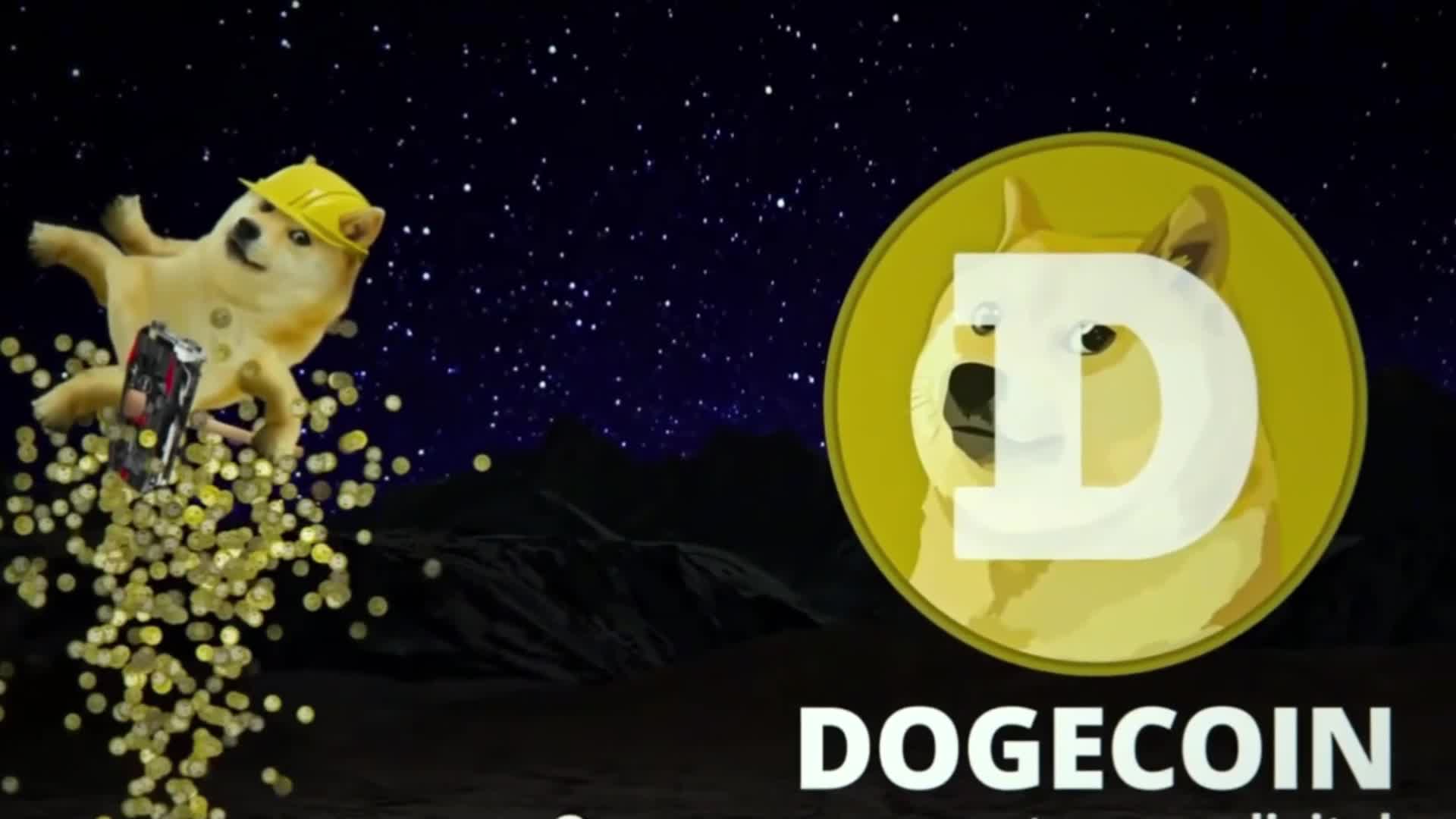 What's next for Dogecoin