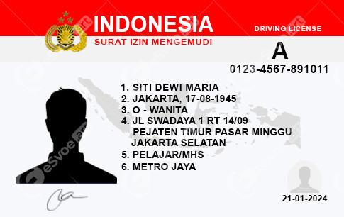 driving license 12