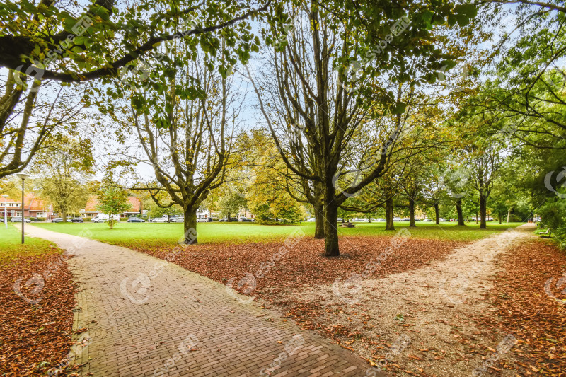 Superb green park with paths