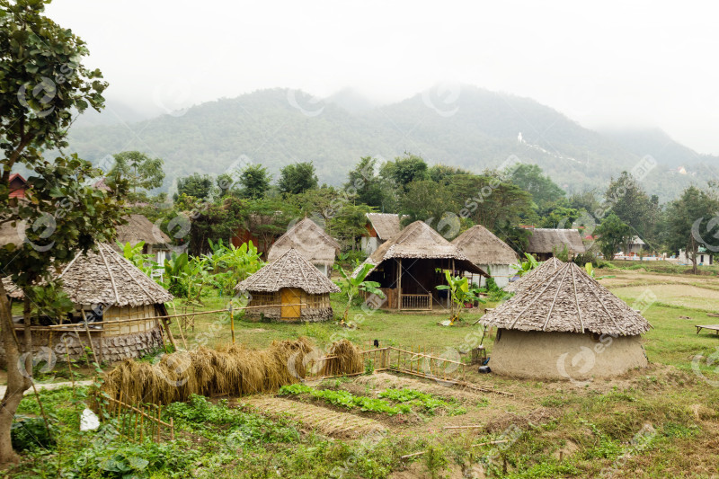 View on wooden houses and garden on a background